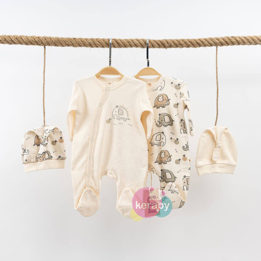 GRENOUILLERE LOT DE 2 GG1