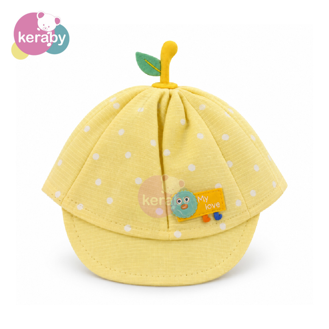 KEPI-K1